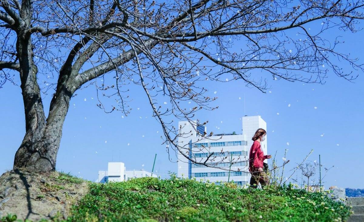 person walking by tree