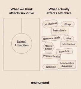 "what we think affects sex drive: sexual attraction. What actually affects sex drive: alcohol use, sleep, stress levels, hormone levels, diet, medication, mental health, schedule, physical health, relationship dynamics, exercise"