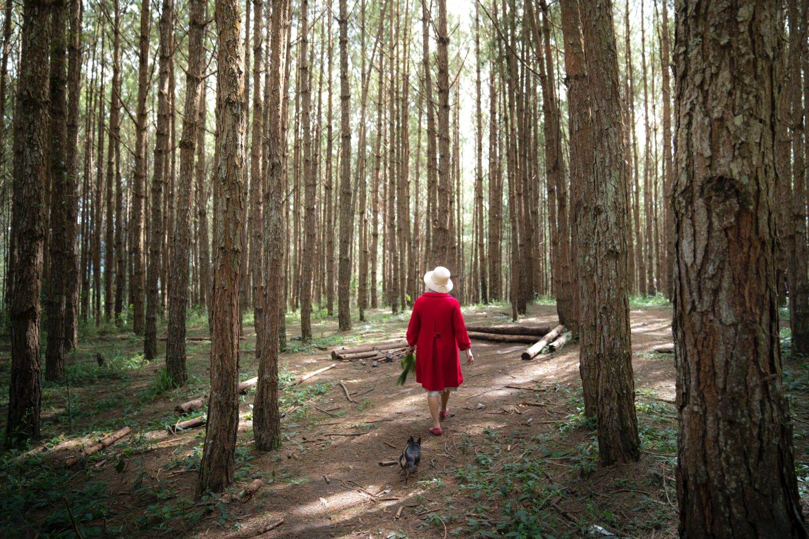 woman walking in woods