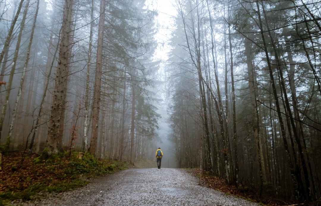 Person walking in the woods in the winter