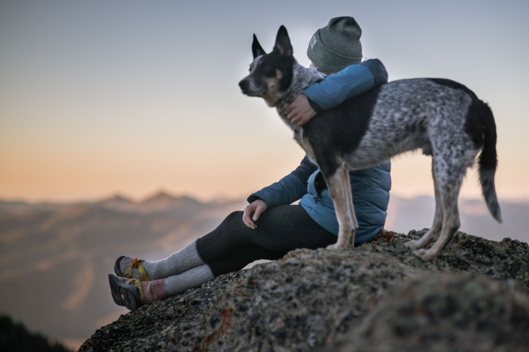 Woman and dog looking at sunrise from top of a mountain