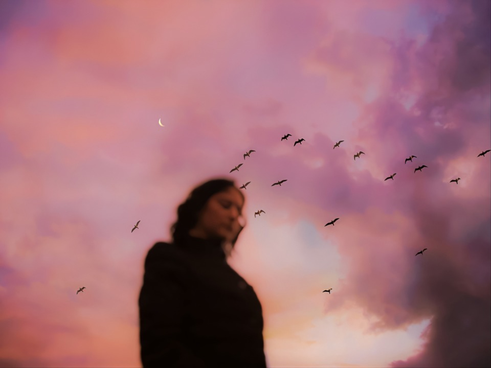 person with sunset and birds