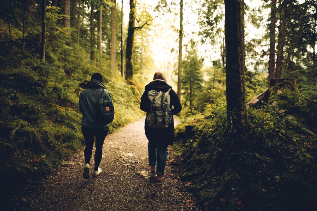 Two people walking in the woods