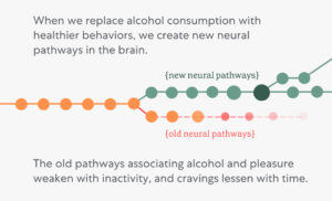 "When we replace alcohol consumption with healthier behaviors, we create new neural pathways in the brain. The old pathways associating alcohol and pleasure weaken with inactivity, and cravings lessen with time." Diagram of a new neural pathway forming and old neural pathway fading away