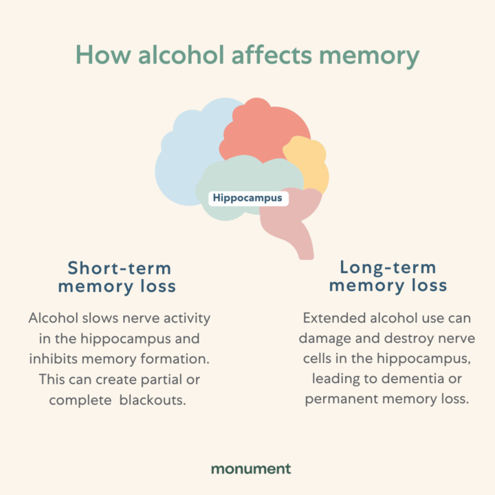 "how alcohol affects memory. Short-term memory loss: alcohol slows nerve activity in the hippocampus and inhibits memory formation. This can create partial or complete blackouts. Long-term memory loss: extended alcohol use can damage and destroy nerve cells in the hippocampus, leading to dementia or permanent memory loss" 