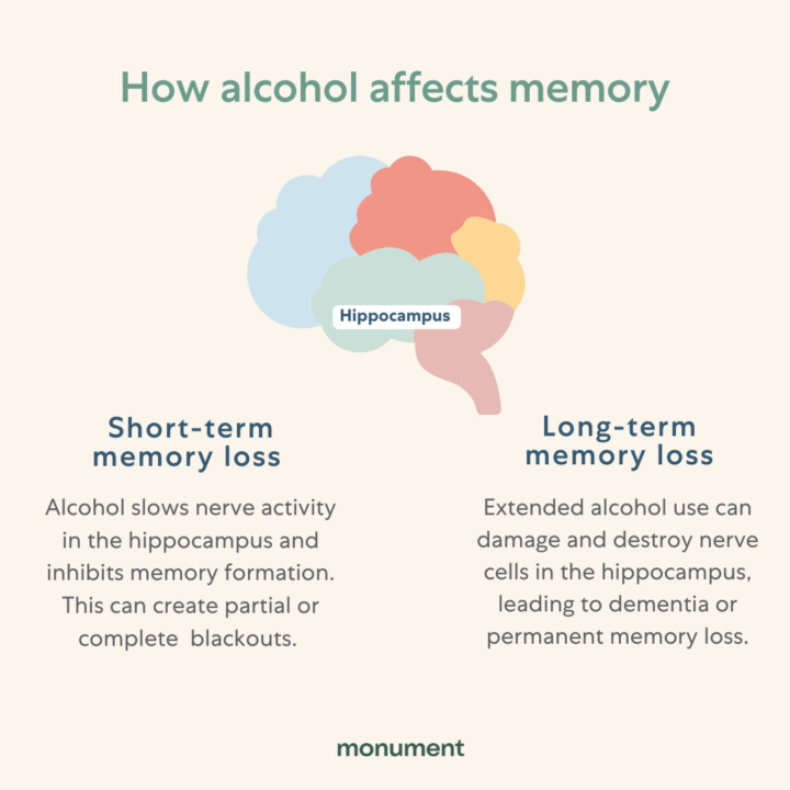 What does alcohol do deals to the brain