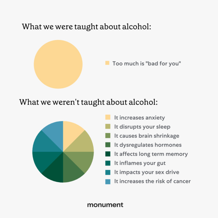 "what we were taught about alcohol: too much is bad for you. What we weren't taught about alcohol: it increases anxiety, it disrupts your sleep, it causes brain shrinkage, it dysregulates hormones, it affects long term memory, it inflames your gut, it impacts your sex drive, it increases the risk of cancer"
