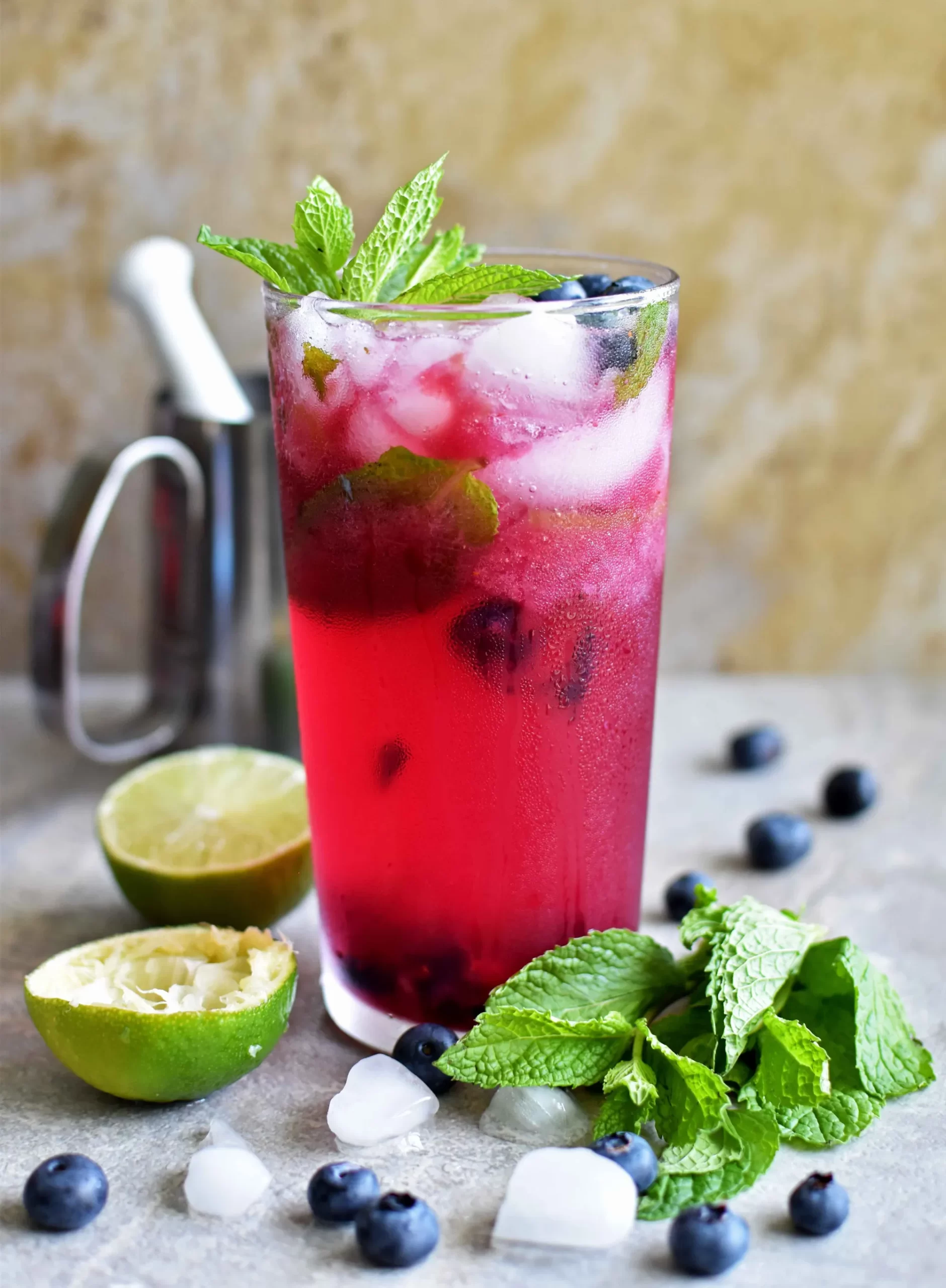 blueberry virgin mojito