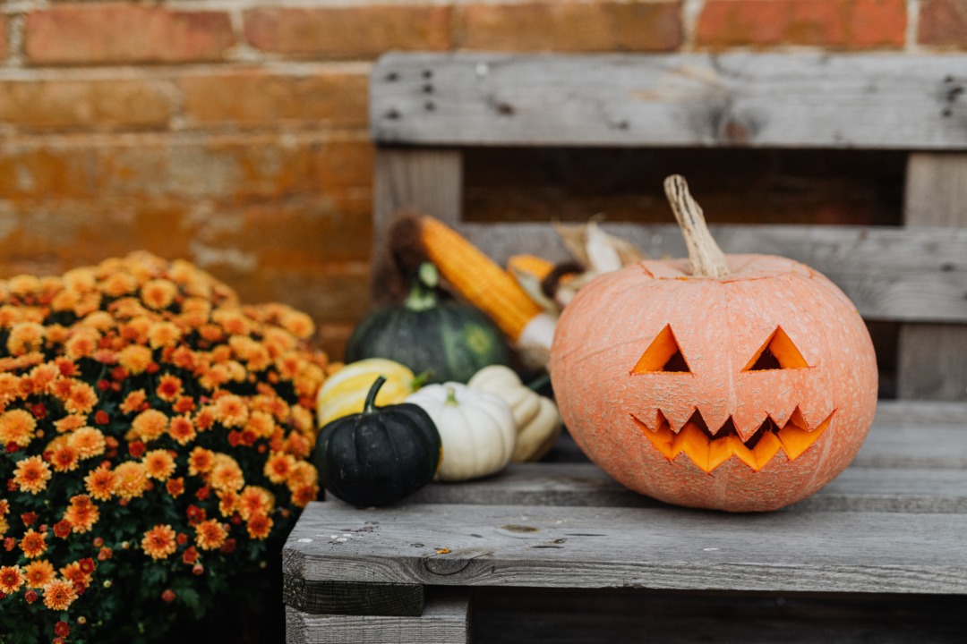 Halloween carved pumpkin on a bench